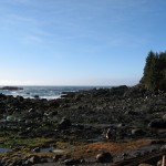 The west coast of Vancouver Island is beautiful.